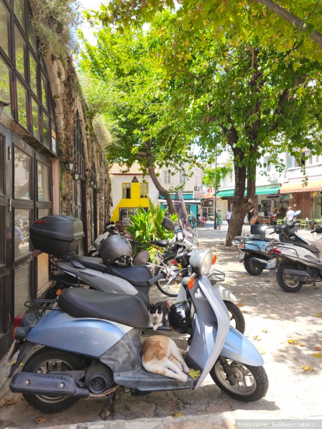 Мур-мурис (часть 3) — Туризм и путешествия: фотоотчеты из поездок (фото 7)