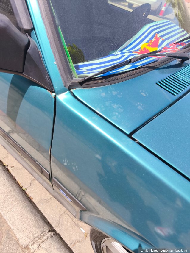 Мур-мурис (часть 1) — Туризм и путешествия: фотоотчеты из поездок