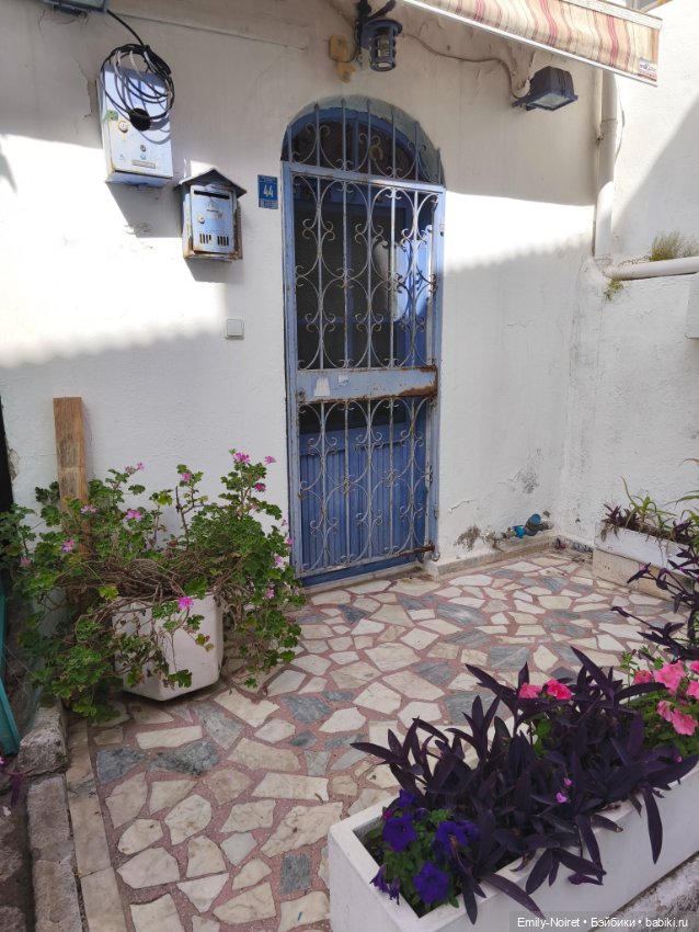 Мур-мурис (часть 3) — Туризм и путешествия: фотоотчеты из поездок