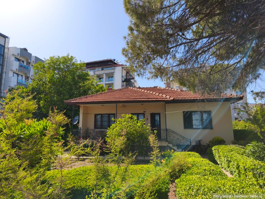 Мур-мурис (часть 1) — Туризм и путешествия: фотоотчеты из поездок