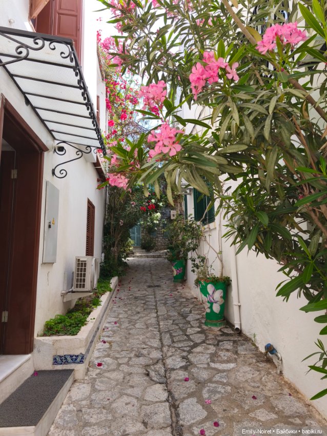 Мур-мурис (часть 3) — Туризм и путешествия: фотоотчеты из поездок