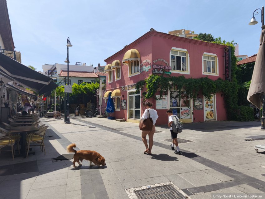 Мур-мурис (часть 3) — Туризм и путешествия: фотоотчеты из поездок