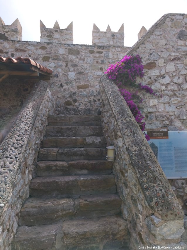 Мур-мурис (часть 3) — Туризм и путешествия: фотоотчеты из поездок