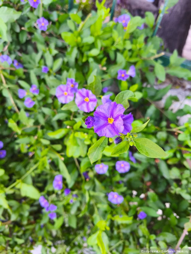 Мур-мурис (часть 4) — Туризм и путешествия: фотоотчеты из поездок