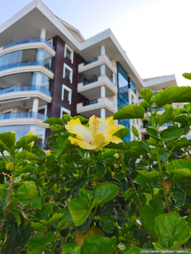 Мур-мурис (часть 4) — Туризм и путешествия: фотоотчеты из поездок