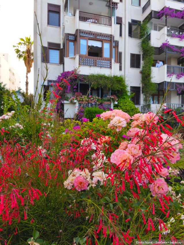 Мур-мурис (часть 4) — Туризм и путешествия: фотоотчеты из поездок