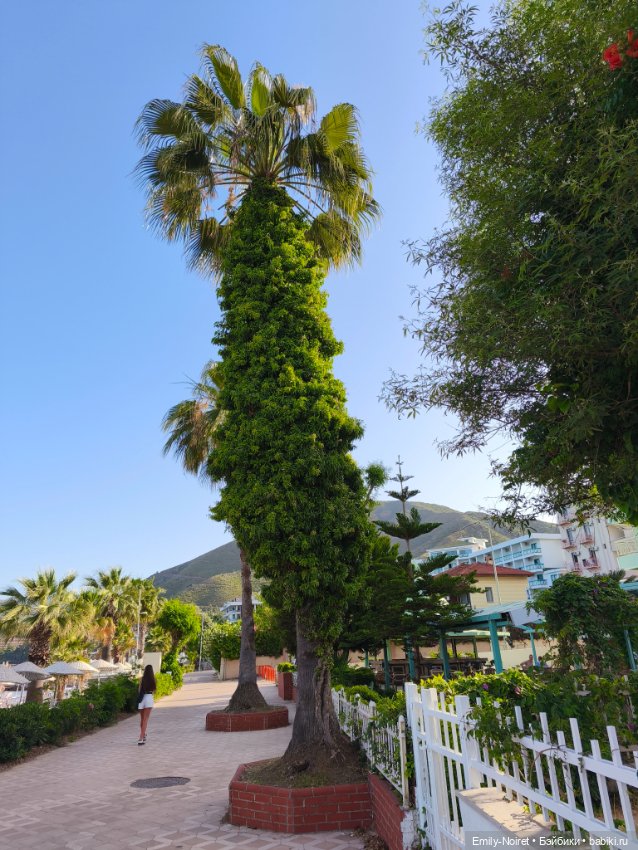 Мур-мурис (часть 4) — Туризм и путешествия: фотоотчеты из поездок