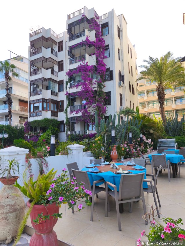 Мур-мурис (часть 4) — Туризм и путешествия: фотоотчеты из поездок