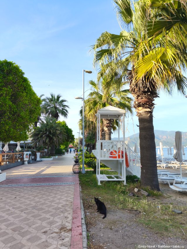 Мур-мурис (часть 4) — Туризм и путешествия: фотоотчеты из поездок