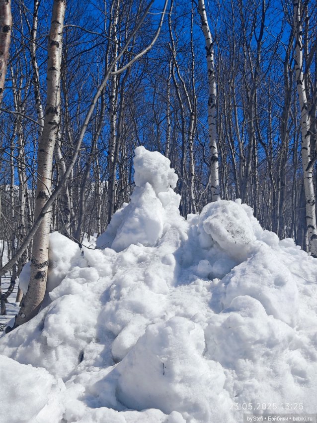 Давно не вязала Жужжика — Вязаные игрушки и амигуруми: крючком