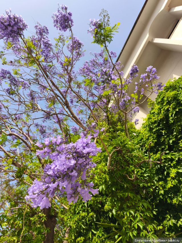 Мур-мурис (часть 6) — Туризм и путешествия: фотоотчеты из поездок