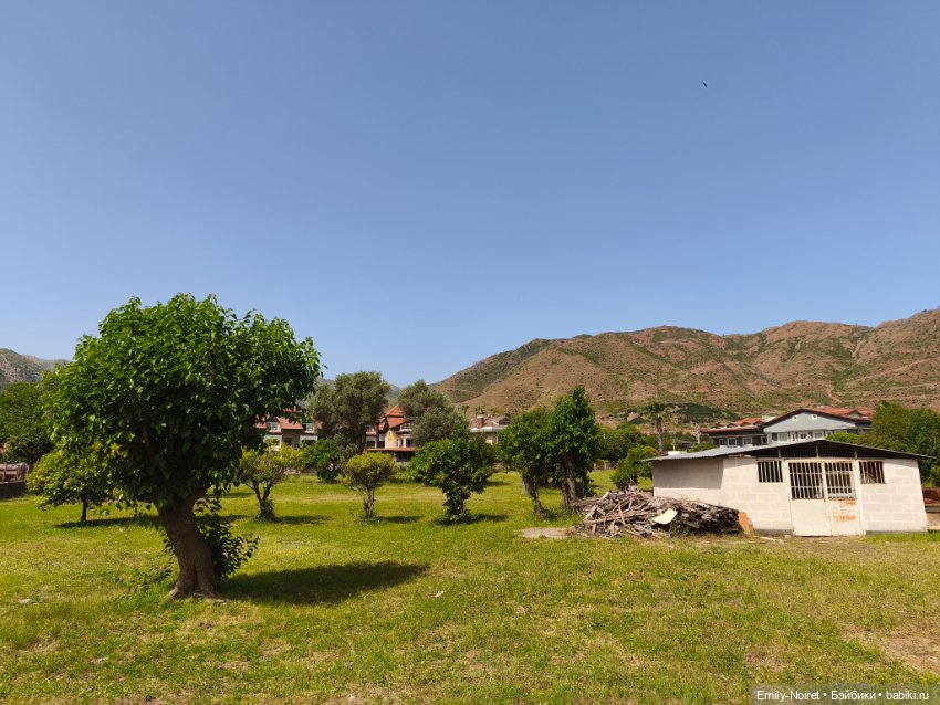 Мур-мурис (часть 6) — Туризм и путешествия: фотоотчеты из поездок