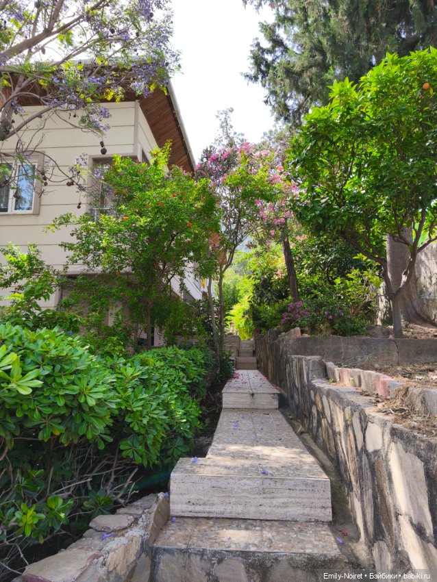 Мур-мурис (часть 6) — Туризм и путешествия: фотоотчеты из поездок