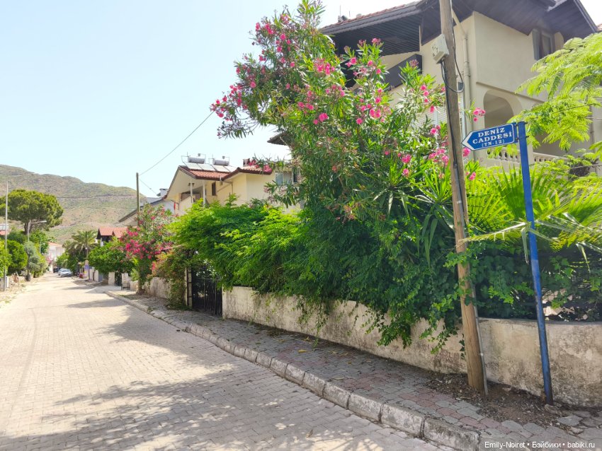 Мур-мурис (часть 6) — Туризм и путешествия: фотоотчеты из поездок (фото 7)