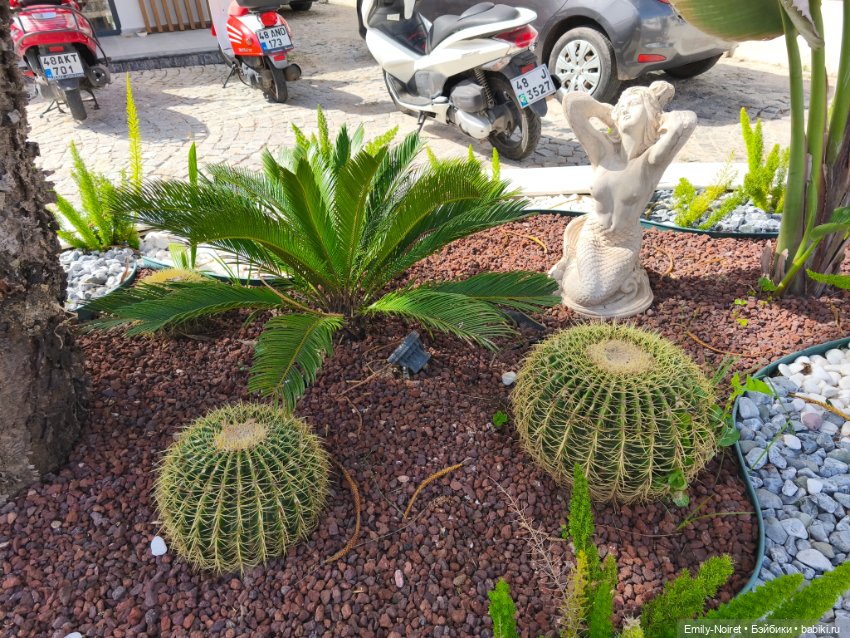 Мур-мурис (часть 6) — Туризм и путешествия: фотоотчеты из поездок