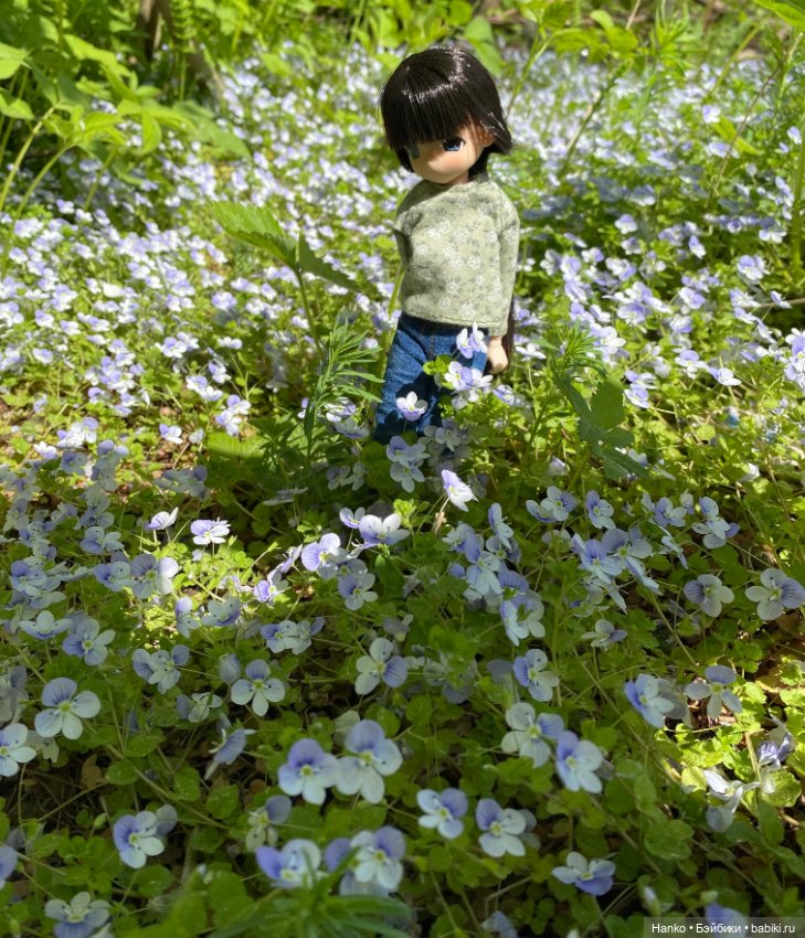 Mamachapp — Аниме куклы (MJD/Винил): Imomo