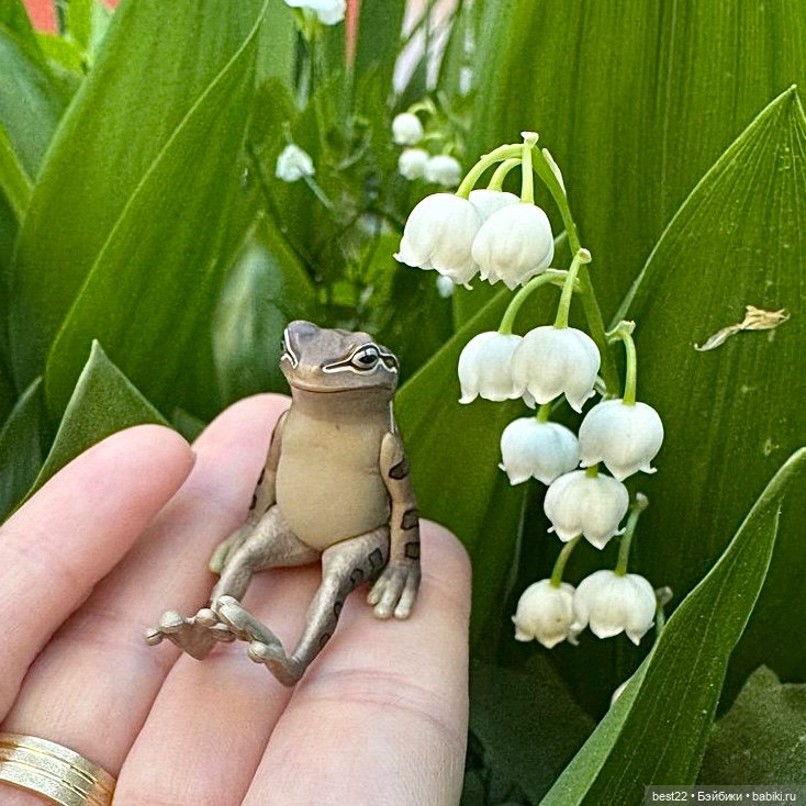 Улица, цветы, Акакий. Май-2025 (фото 8)