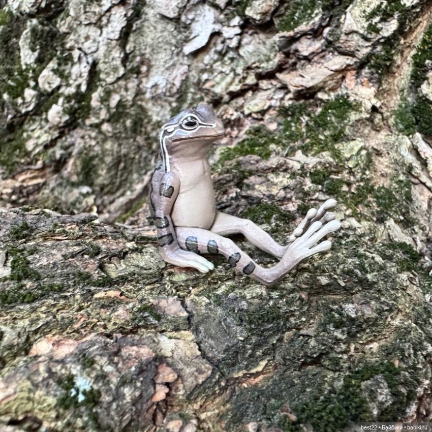 Улица, цветы, Акакий. Май-2025 (фото 9)