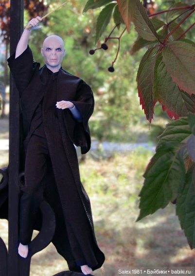 Мои немногочисленные поттерианцы (фото 2)