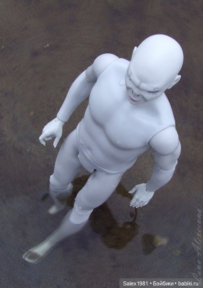 Володя открывает пляжный сезон (фото 5)