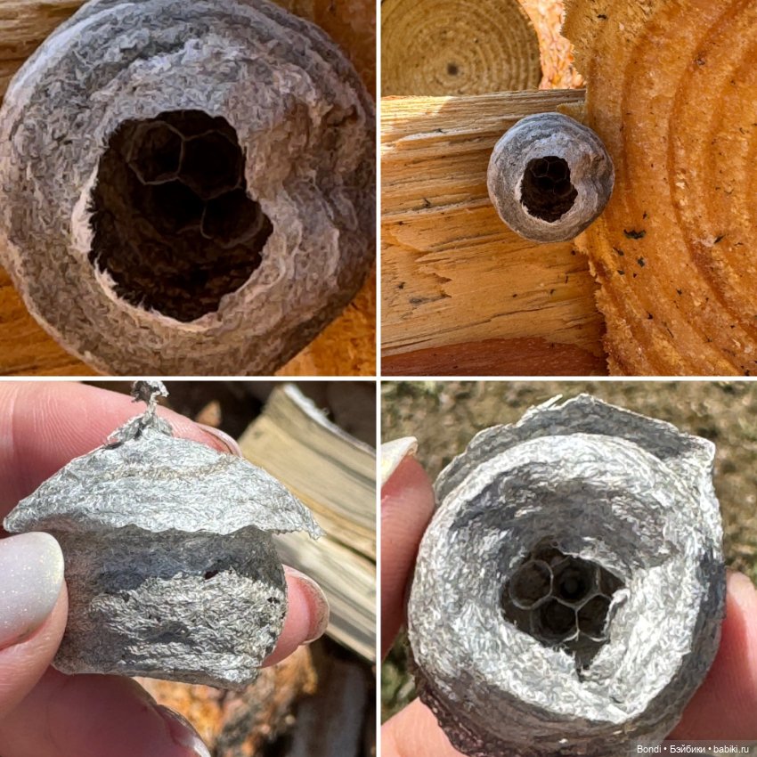 Новенький малыш Zeno — Игровые куклы разных производителей (Разное): редкие бренды