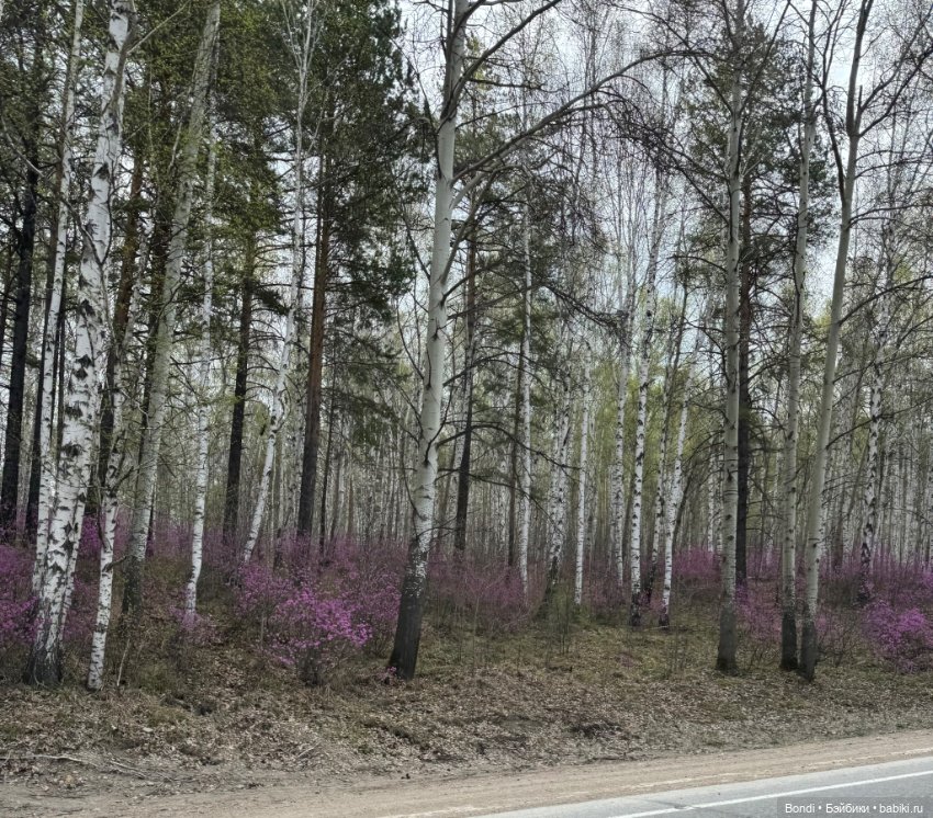 Новенький малыш Zeno — Игровые куклы разных производителей (Разное): редкие бренды (фото 2)