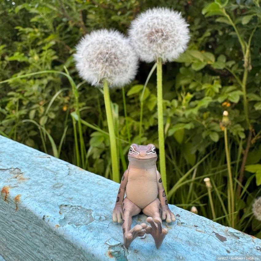 Улица, цветы, Акакий. Май-2025