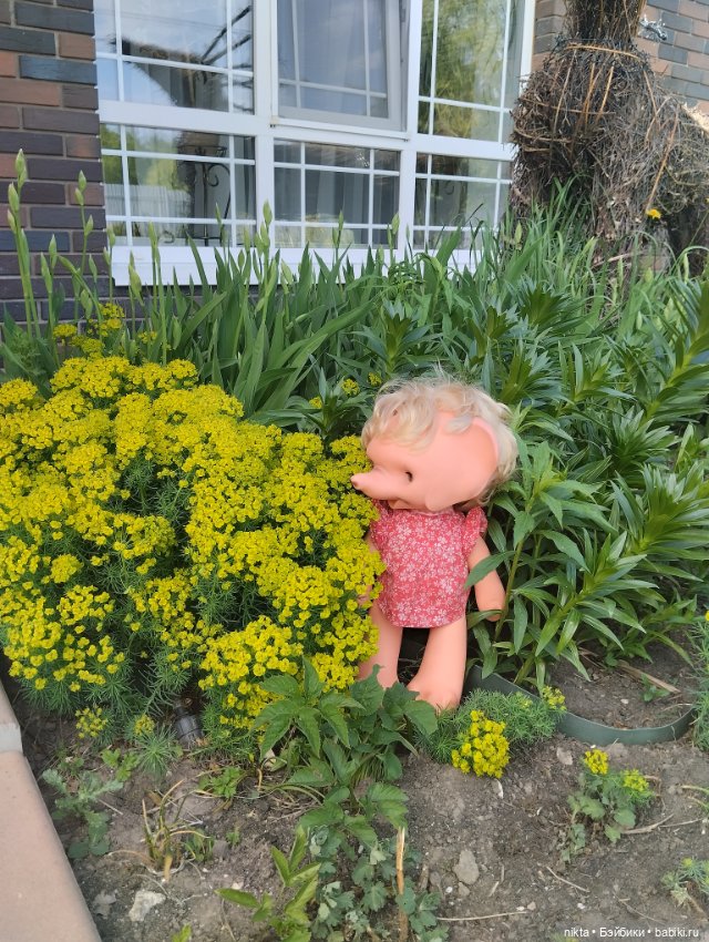 Ведь так не бывает на свете, чтоб были потеряны дети (фото 5)