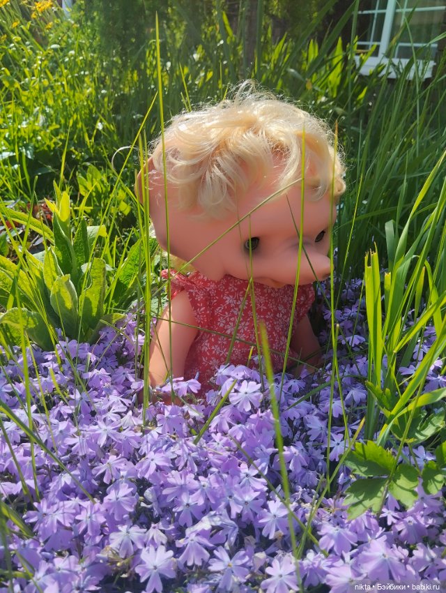 Ведь так не бывает на свете, чтоб были потеряны дети (фото 3)