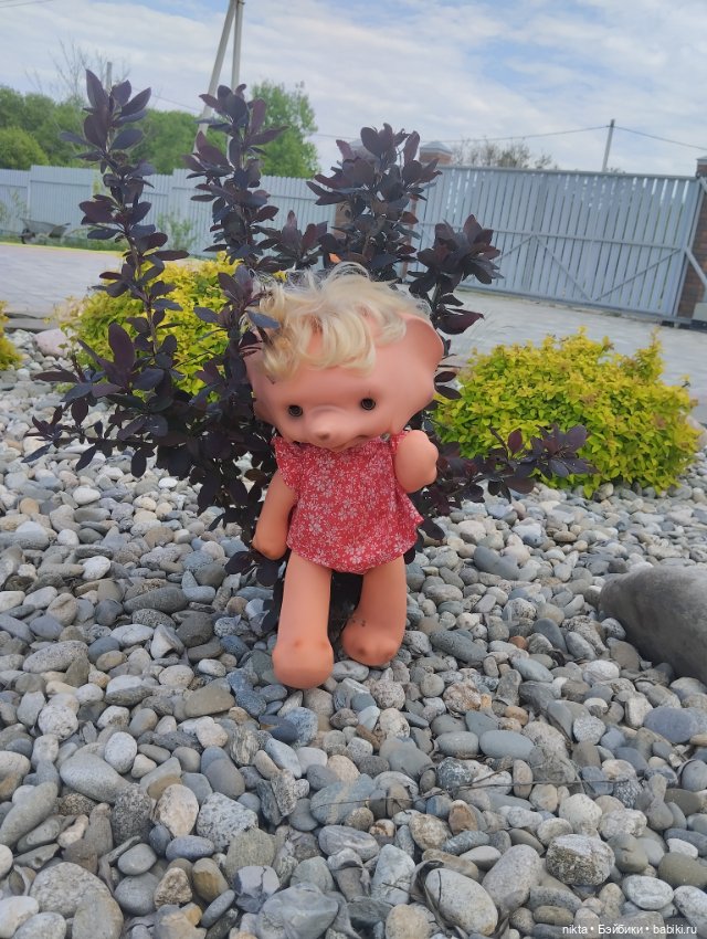 Ведь так не бывает на свете, чтоб были потеряны дети (фото 8)