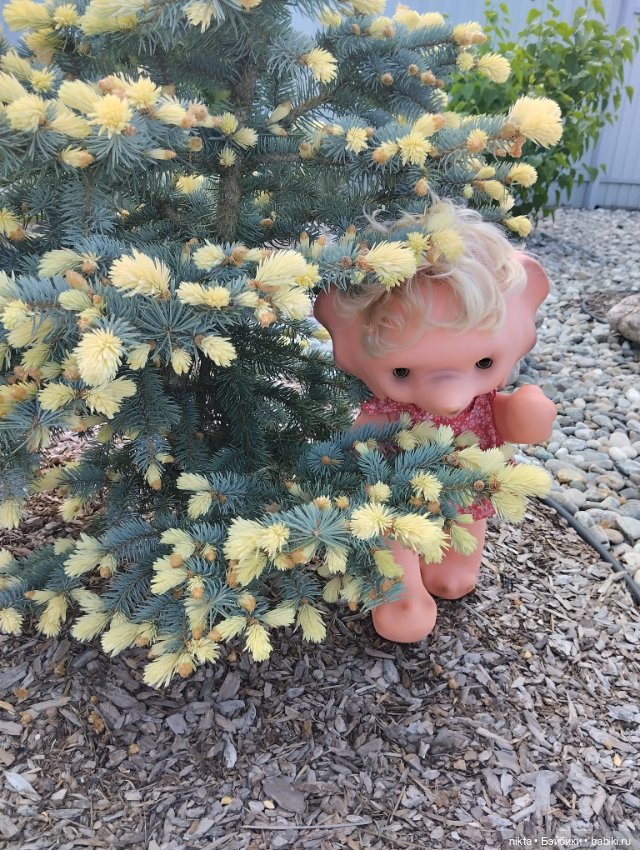 Ведь так не бывает на свете, чтоб были потеряны дети (фото 7)