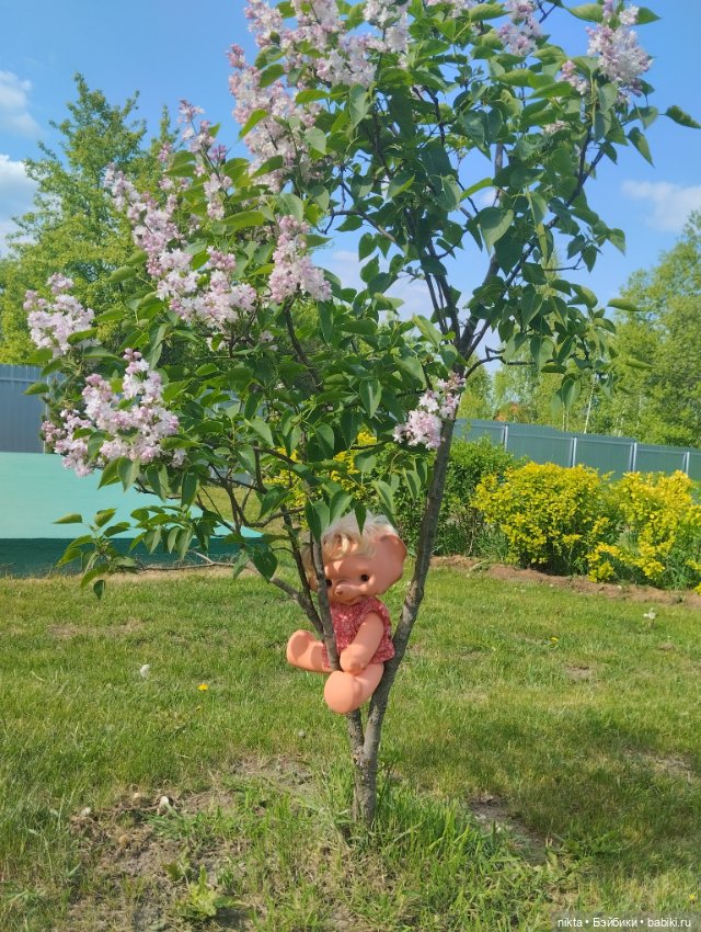 Ведь так не бывает на свете, чтоб были потеряны дети