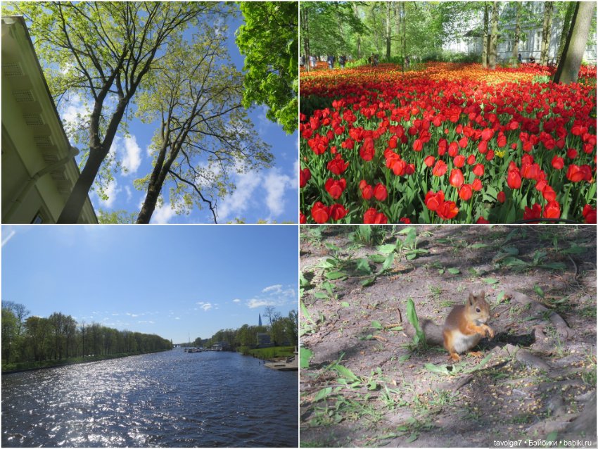 Catrinas Underworld в Питере опять