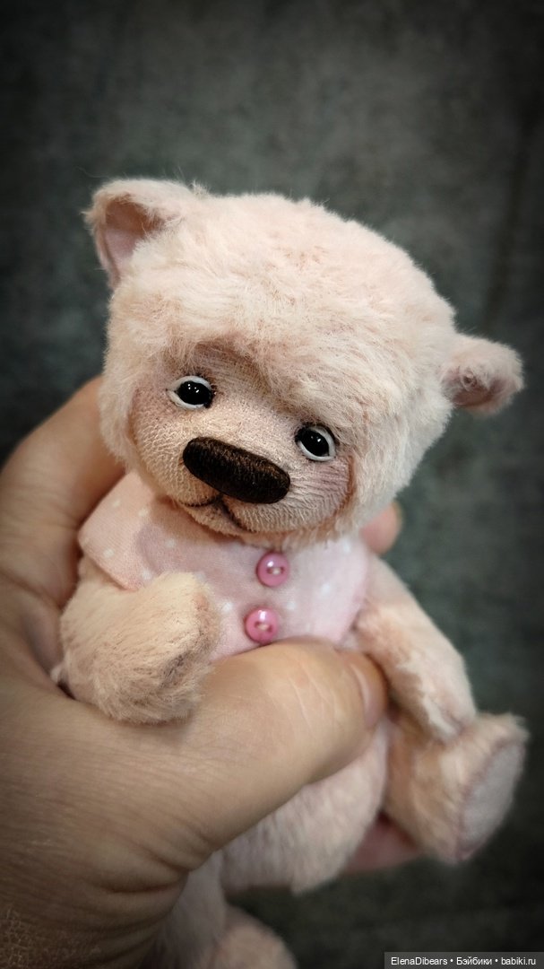 Медвепупсы собираются на бал