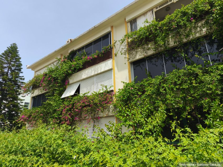 Мур-мурис (часть 7) — Туризм и путешествия: фотоотчеты из поездок