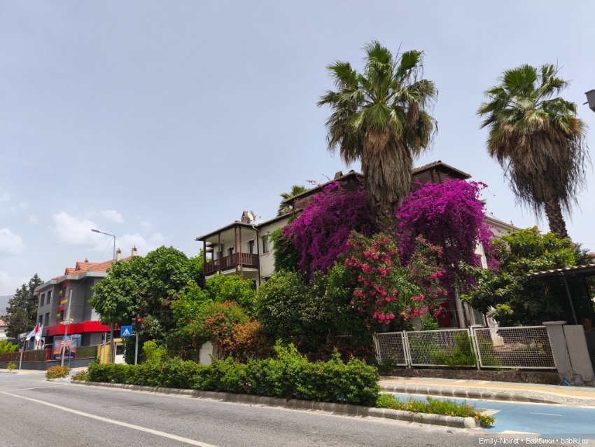 Мур-мурис (часть 7) — Туризм и путешествия: фотоотчеты из поездок