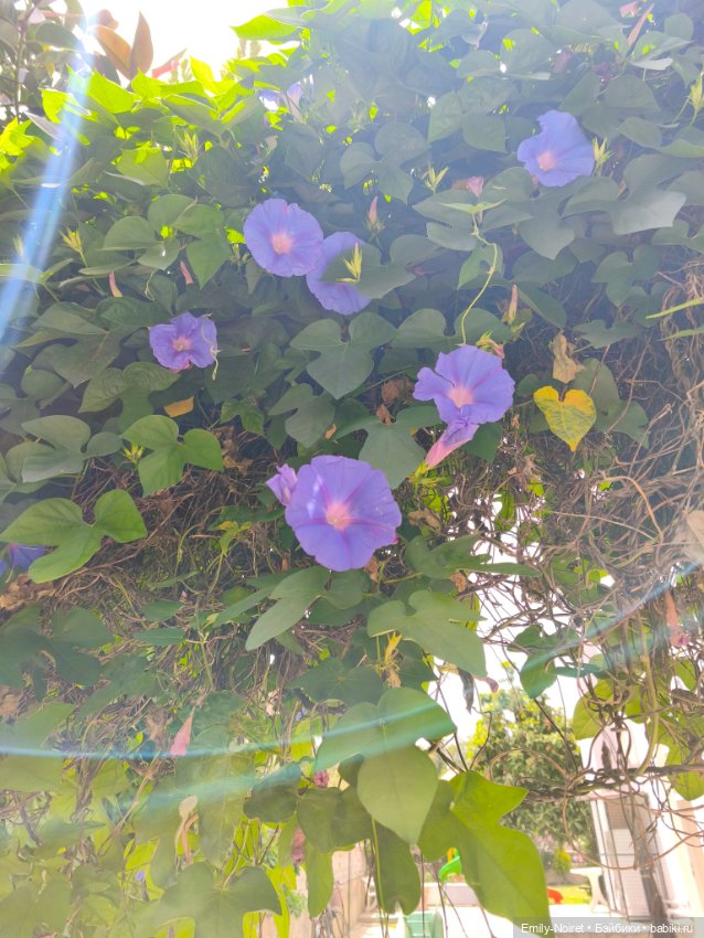 Мур-мурис (часть 7) — Туризм и путешествия: фотоотчеты из поездок