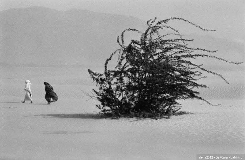 Себастьян Салгаду (Sebastião Salgado )фотографии о жизни людей (фото 3)