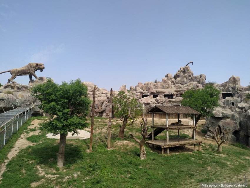 Сок Чжин в зоопарке города Цанчжоу