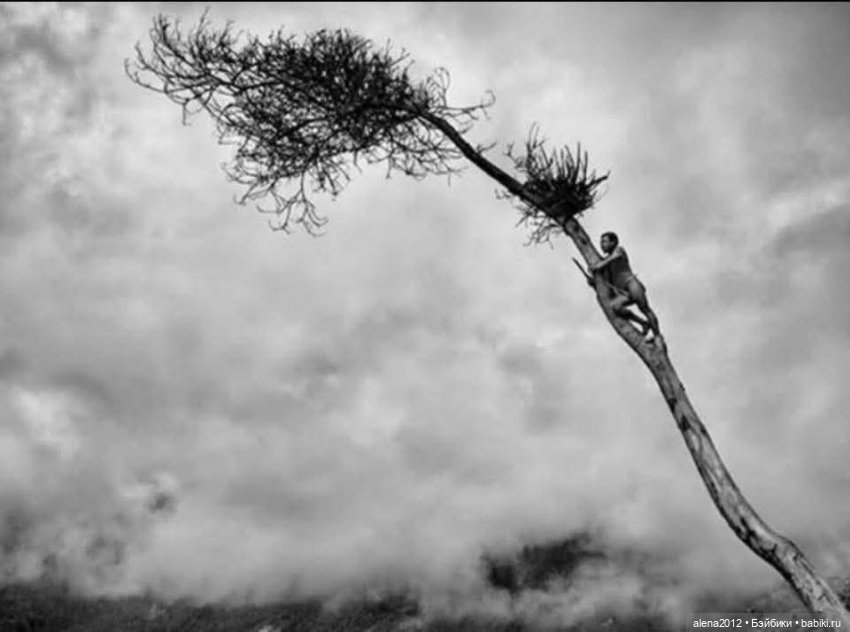 Себастьян Салгаду (Sebastião Salgado )фотографии о жизни людей