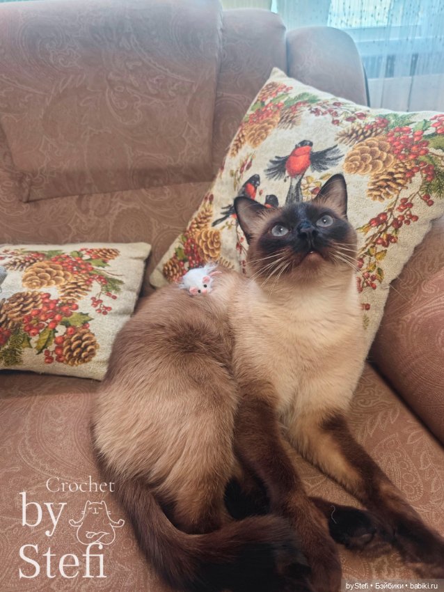 Мышулина — Вязаные игрушки и амигуруми: крючком (фото 10)