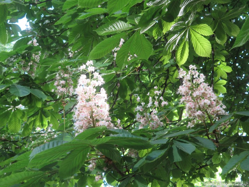 Год занятий ювелирным мастерством