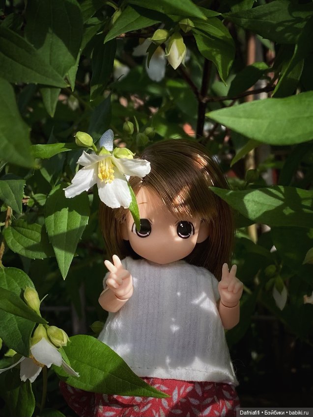 Малышка mamachapp — Аниме куклы (MJD/Винил): Imomo (фото 3)