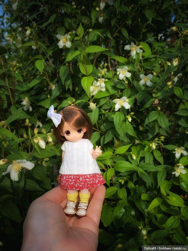 Малышка mamachapp — Аниме куклы (MJD/Винил): Imomo (фото 5)