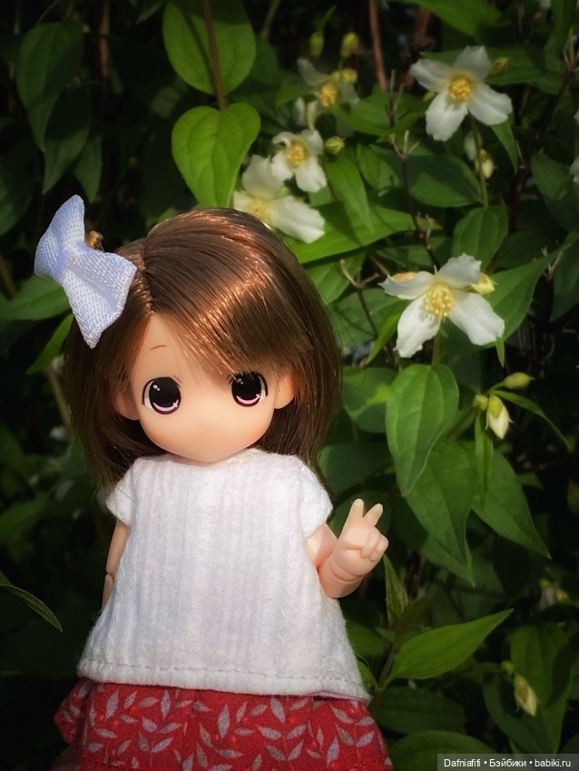 Малышка mamachapp — Аниме куклы (MJD/Винил): Imomo (фото 6)