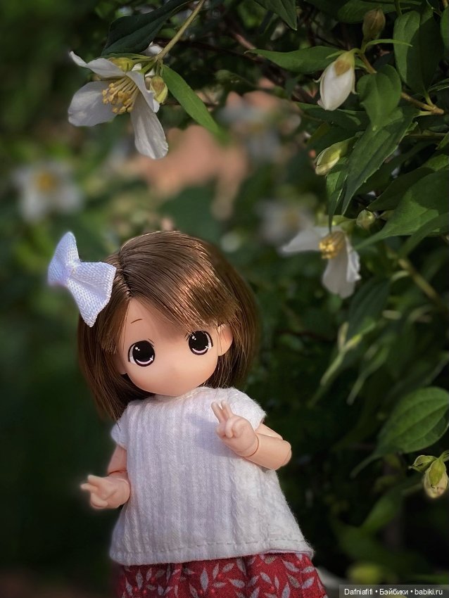 Малышка mamachapp — Аниме куклы (MJD/Винил): Imomo