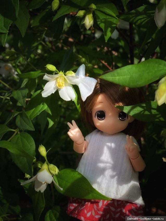 Малышка mamachapp — Аниме куклы (MJD/Винил): Imomo (фото 7)