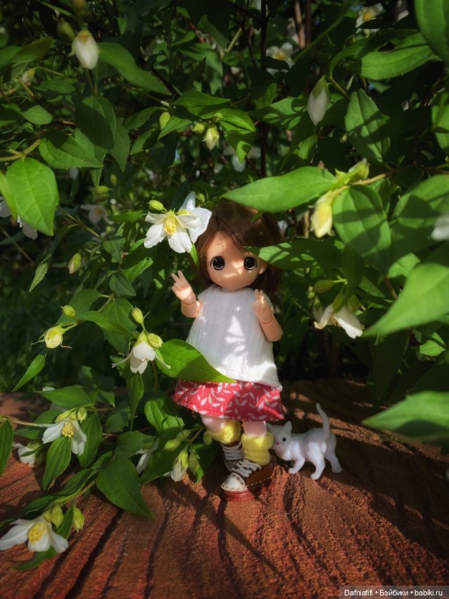 Малышка mamachapp — Аниме куклы (MJD/Винил): Imomo (фото 4)