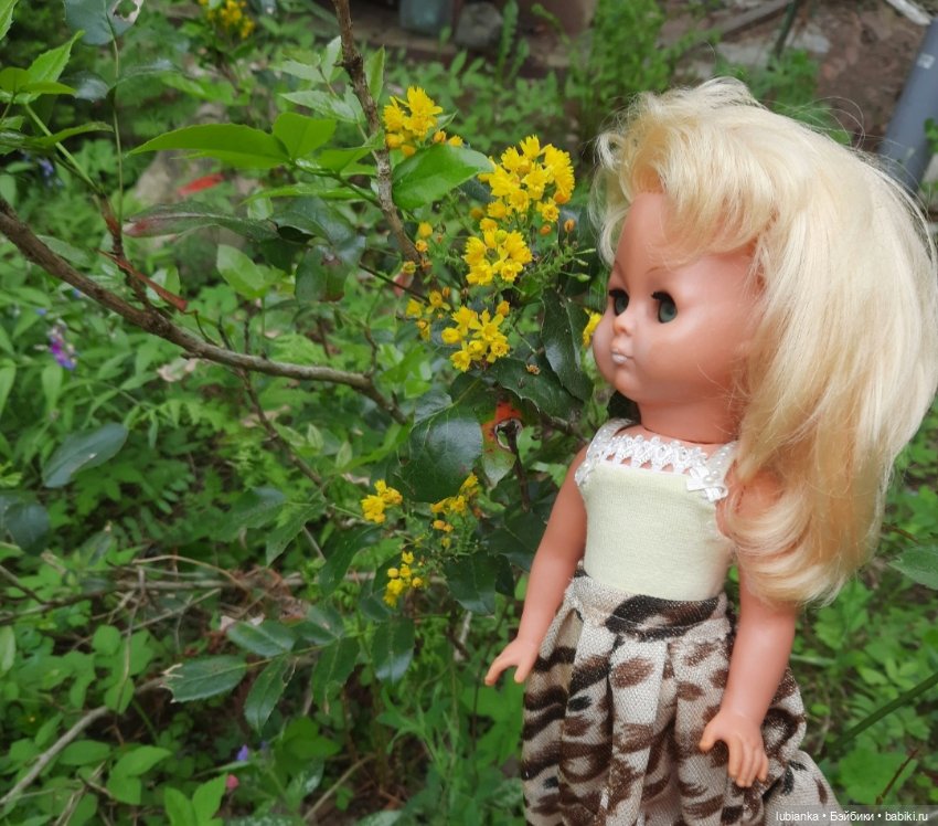 Майская моя Злата 💛 — Винтажные куклы ГДР (Немки): Бигги