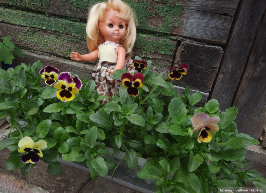 Майская моя Злата 💛 — Винтажные куклы ГДР (Немки): Бигги (фото 3)